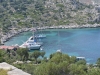 turkey_heading_west_0101