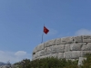 turkey_heading_west_0106