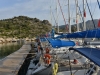 turkey_heading_west_0116