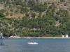 turkey_heading_west_0126