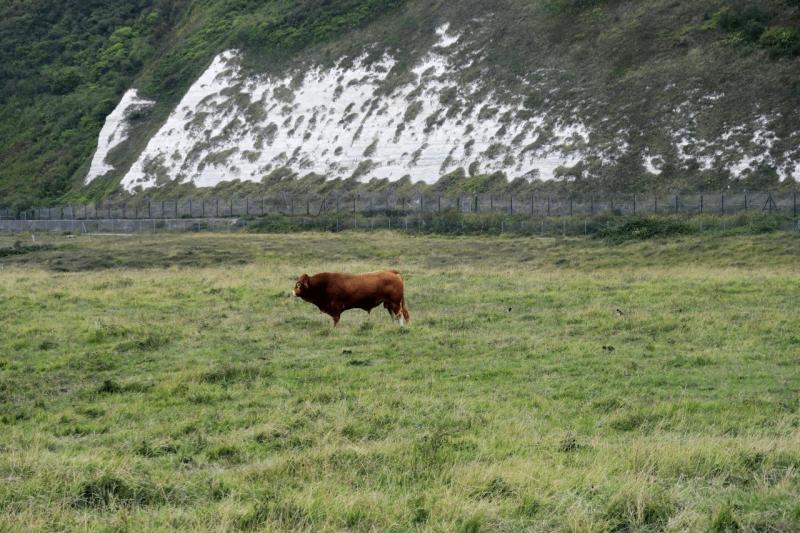 uk26_abreise_samphire_hoe_dover_003
