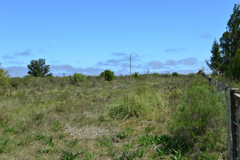 uruguay_wohnmobil_01_008