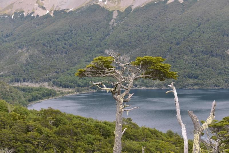 ushuaia_1_001