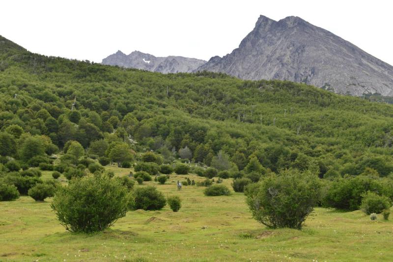 ushuaia_1_016