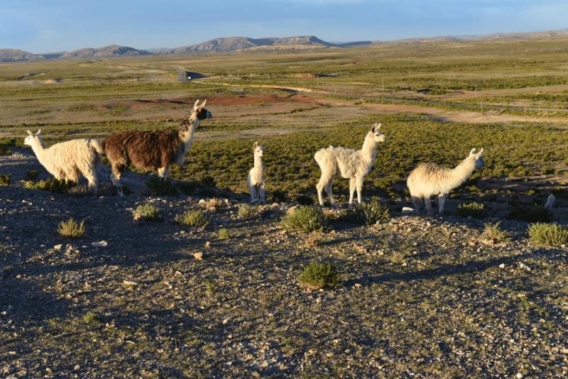 uyuni_0022