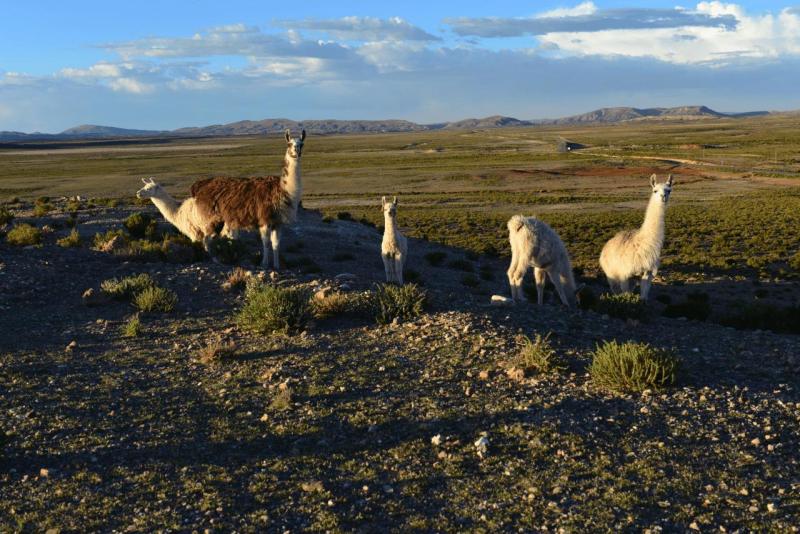 uyuni_0023