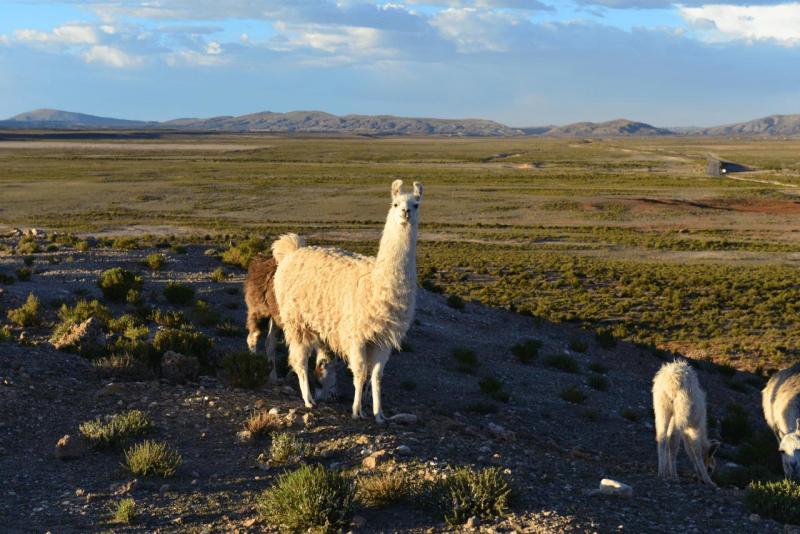 uyuni_0024