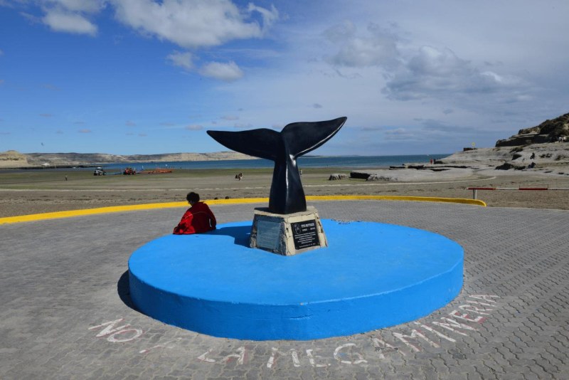 valdes_argentina_whale_nature_005