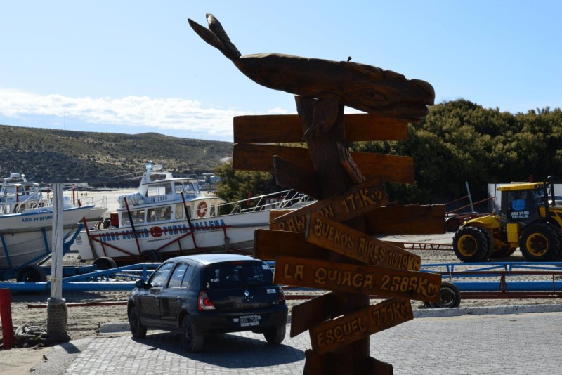valdes_argentina_whale_nature_010