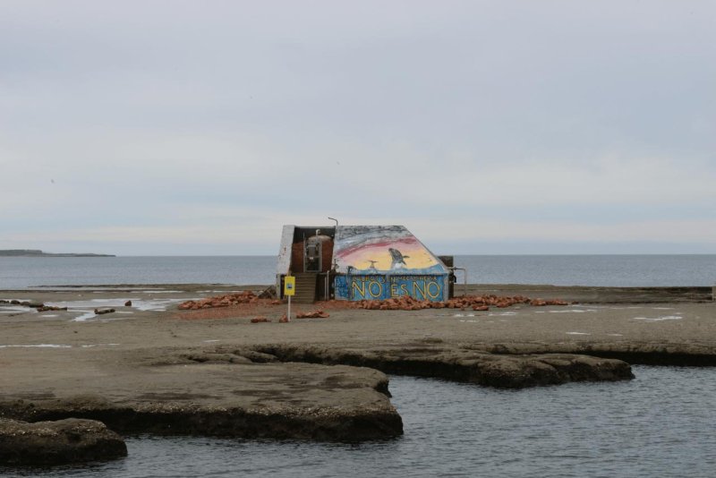 valdes_argentina_whale_nature_013