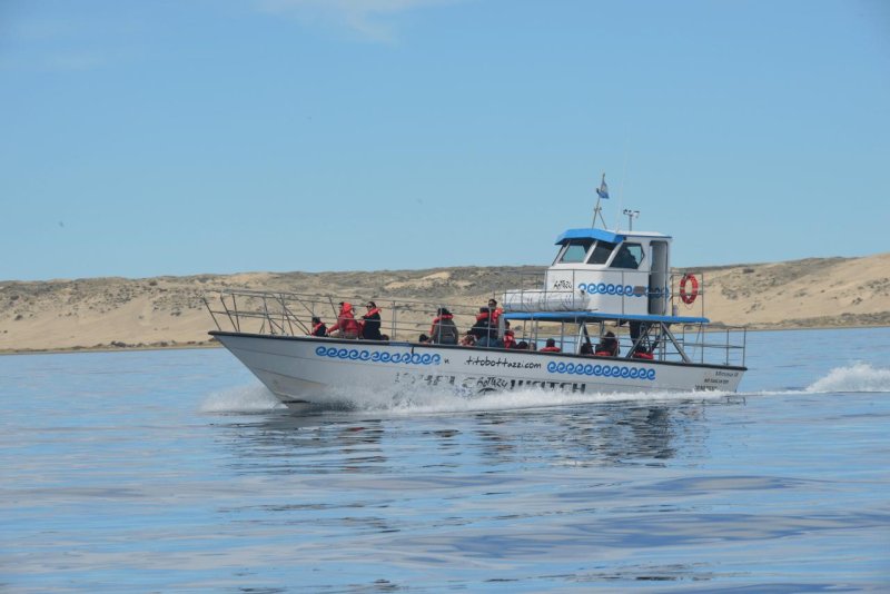 valdes_argentina_whale_nature_025