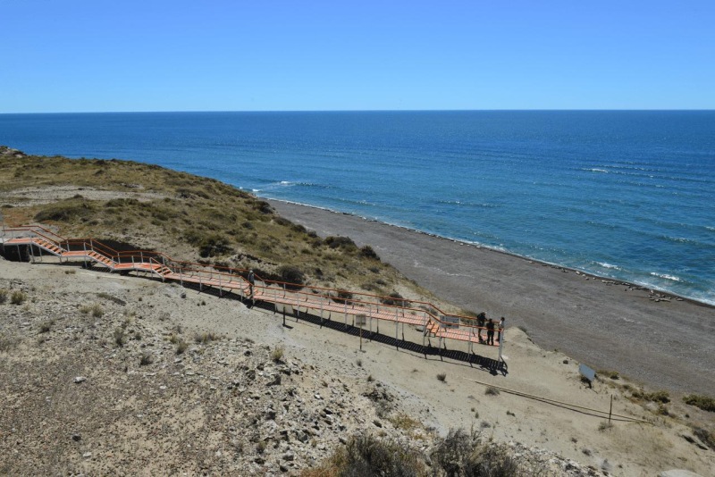 valdes_argentina_whale_nature_041