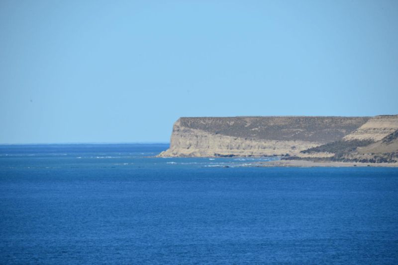 valdes_argentina_whale_nature_044