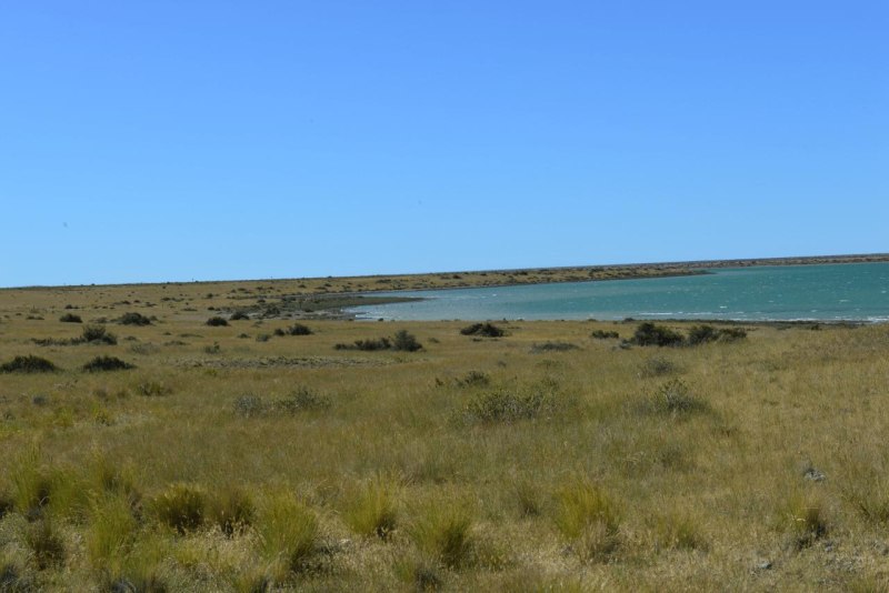 valdes_argentina_whale_nature_069