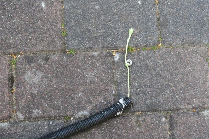 valeo_ducato_park_distance_control_einbau_012