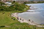 langoe_furoen_valoen_019