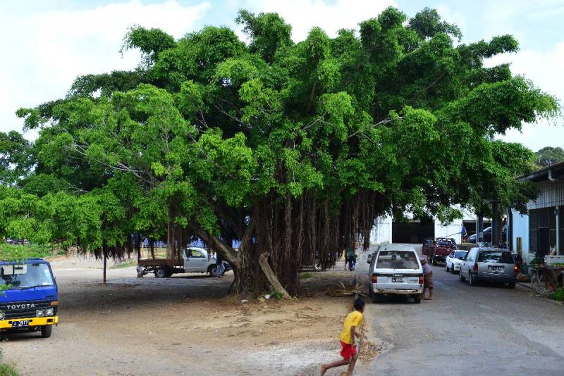 vavau_0016