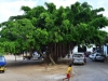 vavau_0016