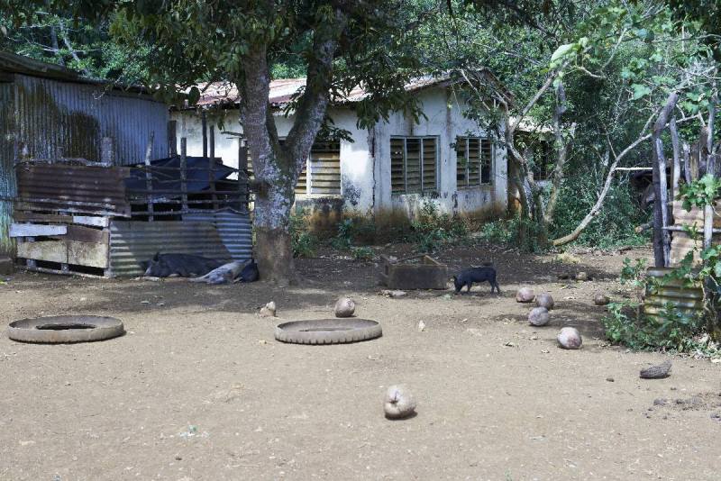 vavau_0061