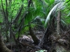 vavau_0001