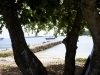 vavau_0056