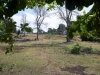 vavau_0071