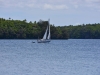 vavau_0041