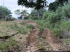 vavau_0066