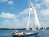 vavau_regatta_0011