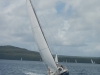 vavau_regatta_0021