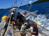 vavau_regatta_0126