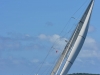 vavau_regatta_0131