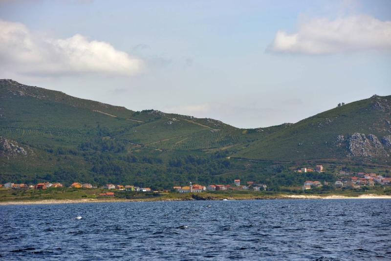vigo_010