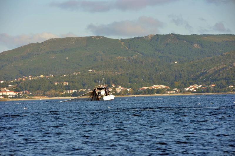 vigo_011