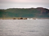 vigo_001