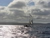 vigo_007