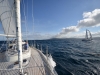 vigo_009