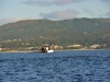 vigo_011