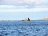 vigo_012