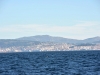 vigo_013