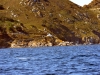 vigo_015