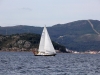 vigo_022
