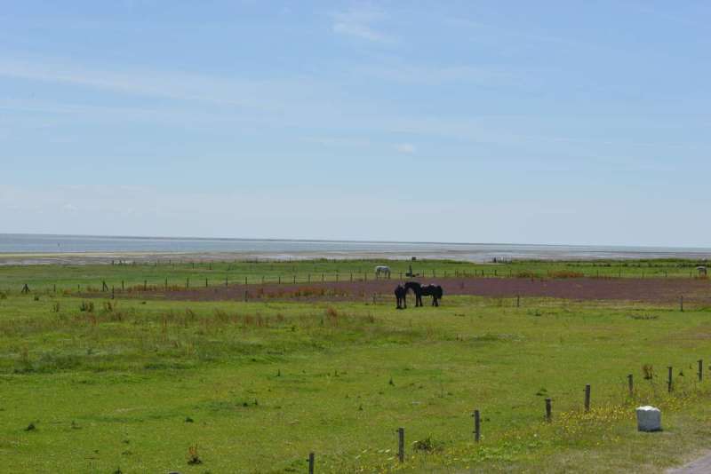 vlieland_borkum_bremen_0016