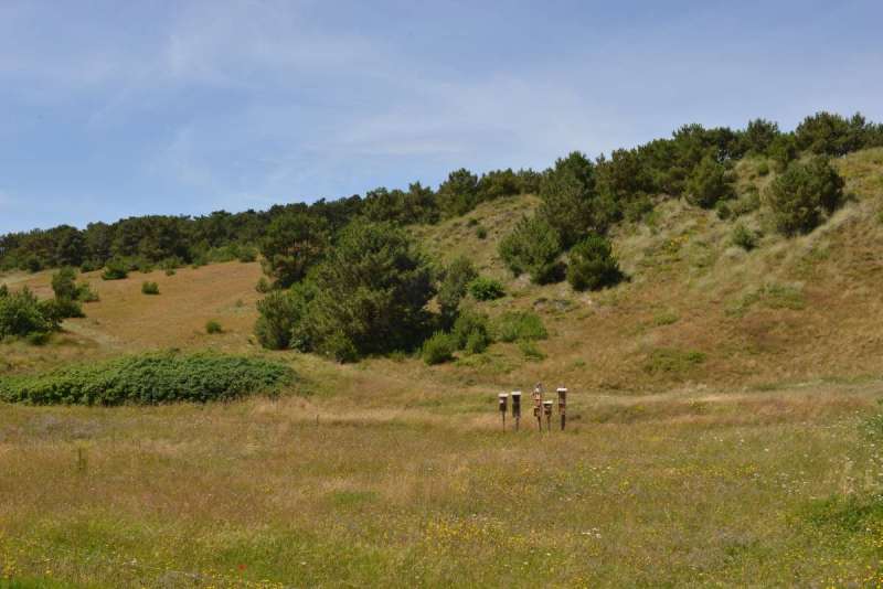 vlieland_borkum_bremen_0021