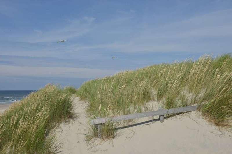 vlieland_borkum_bremen_0036