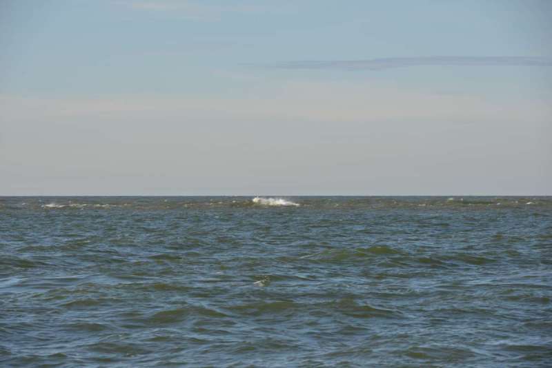 vlieland_borkum_bremen_0066