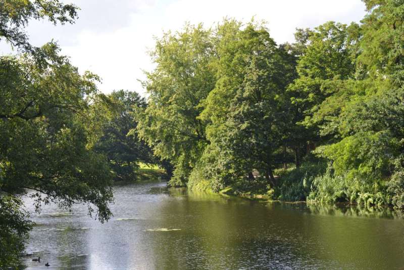 vlieland_borkum_bremen_0071