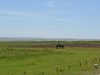 vlieland_borkum_bremen_0016