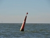 vlieland_borkum_bremen_0061