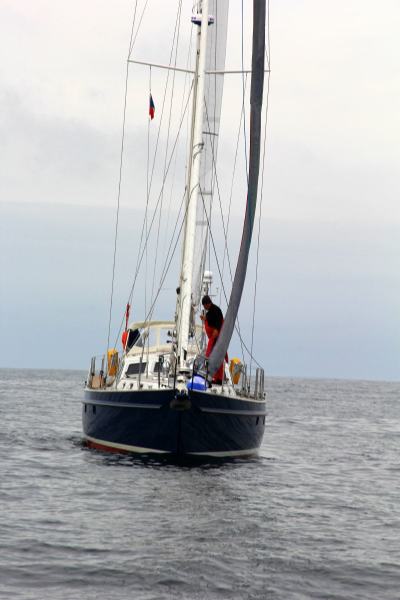 sv_017